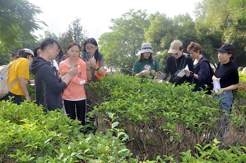 厦门茶艺师培训哪个机构最好?
